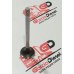Valvula Escape Cabecote Motor Daily 2.8 Garcia Diesel