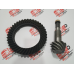 Coroa Pinhao Diferencial Daily 10x41 Dentes Original Iveco