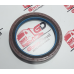 Retentor Traseiro Motor Cursor Original Iveco