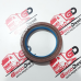 Retentor Dianteiro Motor Cursor Original Iveco