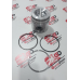 Pistao Motor C/aneis Eurocargo/tector/vertis Std Ks