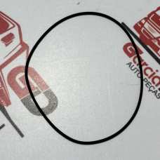 Anel O Ring Bomba Direcao Hidraulica Motor Eurotech/eurotrakker Garcia Diesel
