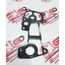 Junta Tampa Traseira Cabecote Motor Daily 3.0 Original Iveco