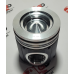 Pistao Motor 100 Aneis Stralis/trakker Std Apex