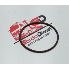 Anel O Ring Tubo Entrada Turbina Stralis/trakker Original Iveco
