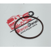 Anel O Ring Tubo Entrada Turbina Stralis/trakker Original Iveco