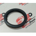 Retentor Pinhao Diferencial Primario Trakker 6x4 Original Iveco