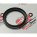 Retentor Pinhao Diferencial Primario Trakker 6x4 Original Iveco