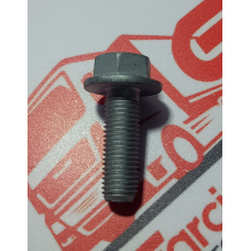 Parafuso Acoplamento Bomba Injetora Motor Eurotech/eurotrakker Original Iveco