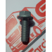 Parafuso Acoplamento Bomba Injetora Motor Eurotech/eurotrakker Original Iveco