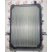 Radiador Agua Motor Eurocargo Cavallino/cursor 8 Garcia Diesel