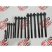 Parafuso Cabecote Motor Daily 3.0 Garcia Diesel