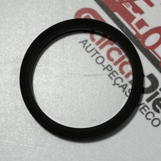 Anel O Ring Motor Daily 3.0 Original Iveco