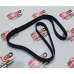 Correia Motor Daf Gates