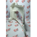 Ponteira Parachoque Dianteiro Daf Xf106 Le Garcia Diesel