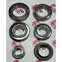 Kit Rolamento Retentor Diferencial Completo Eurotech/stralis/mann/volks/daf Meritor
